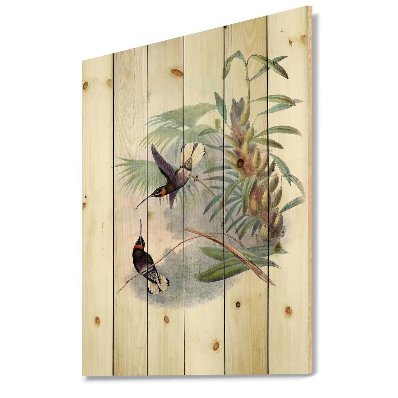 Designart - Vintage Hummingbird On A Branch - Traditional Print on Natural Pine Wood